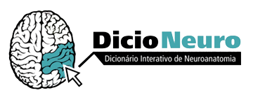 Tilt - Dicio, Dicionário Online de Português